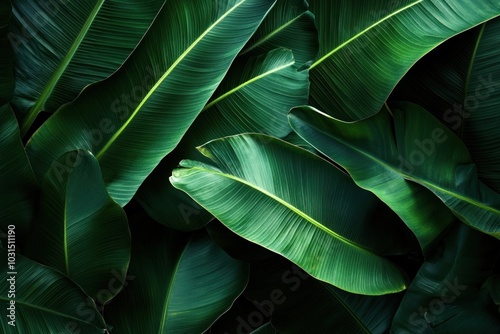 Tropical Leaf Pattern