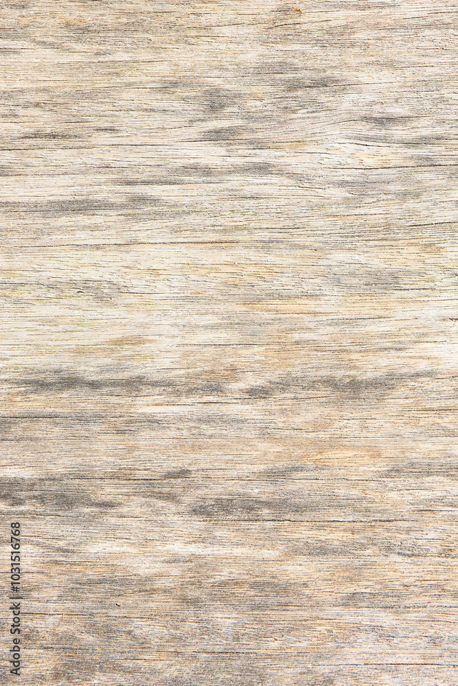 old wooden plank, texture background old wooden plank, texture background
