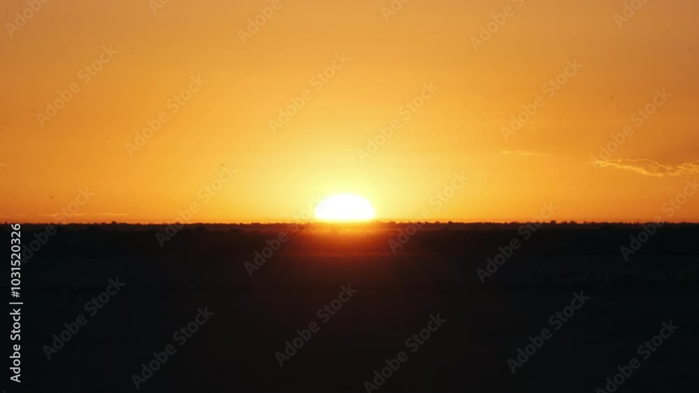 A beautiful sunrise in the African Savannah with the sun in the background A beautiful sunrise in the African Savannah with the sun in the background