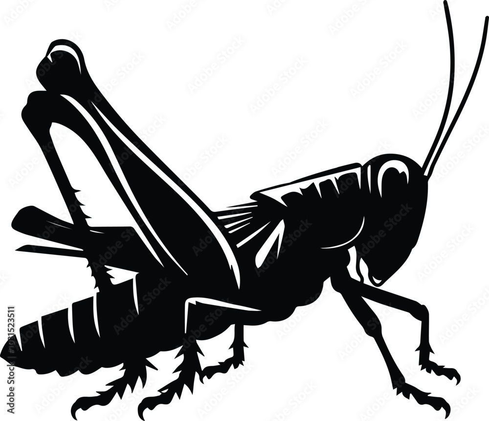 Fototapeta premium A grasshopper Insect animal silhouette vector art illustration