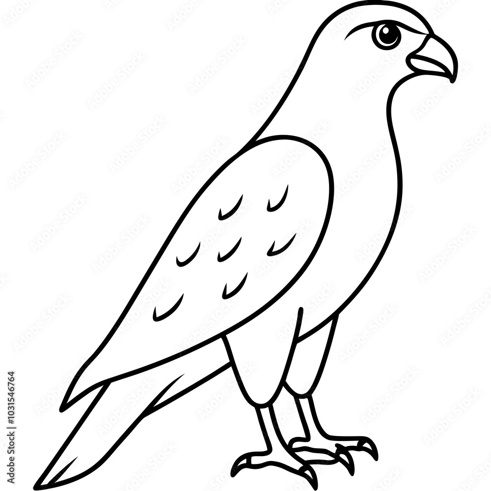 Red shouldered hawk line art vector illustration Red shouldered hawk line art vector illustration