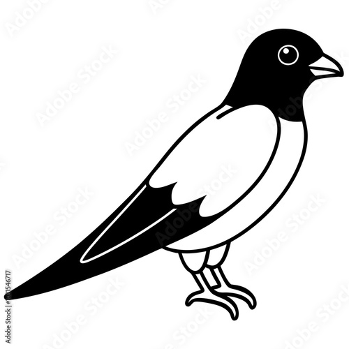 Purple martin line art vector illustration