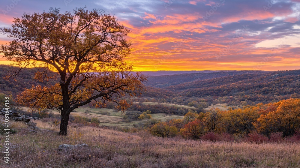 2408 56.A beautiful autumn sunset with a sky filled with warm hues of orange, yellow, and pink, casting a gentle light over the landscape. The winter sky at twilight creates a dramatic backdrop, with 2408 56.A beautiful autumn sunset with a sky filled with warm hues of orange, yellow, and pink, casting a gentle light over the landscape. The winter sky at twilight creates a dramatic backdrop, with