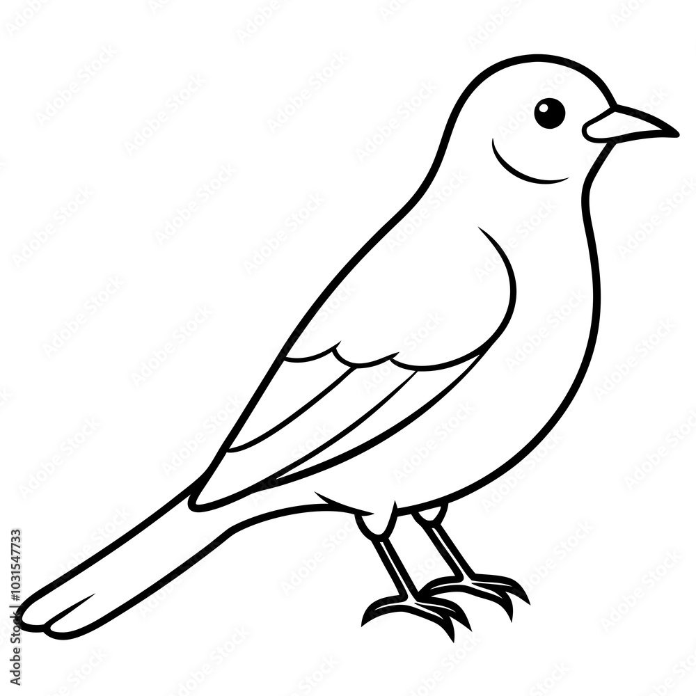 Western bluebird line art vector illustration Western bluebird line art vector illustration