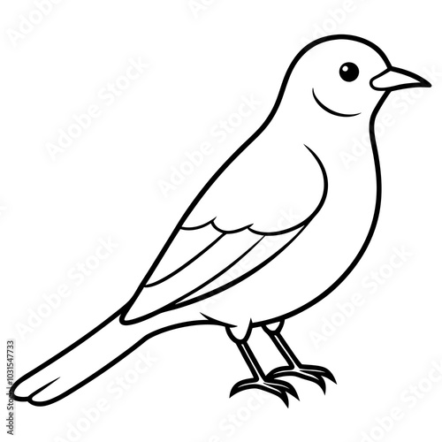 Western bluebird line art vector illustration 