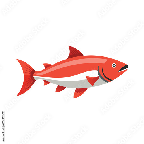 Sockeye salmon animal isolated flat vector illustration on white background.