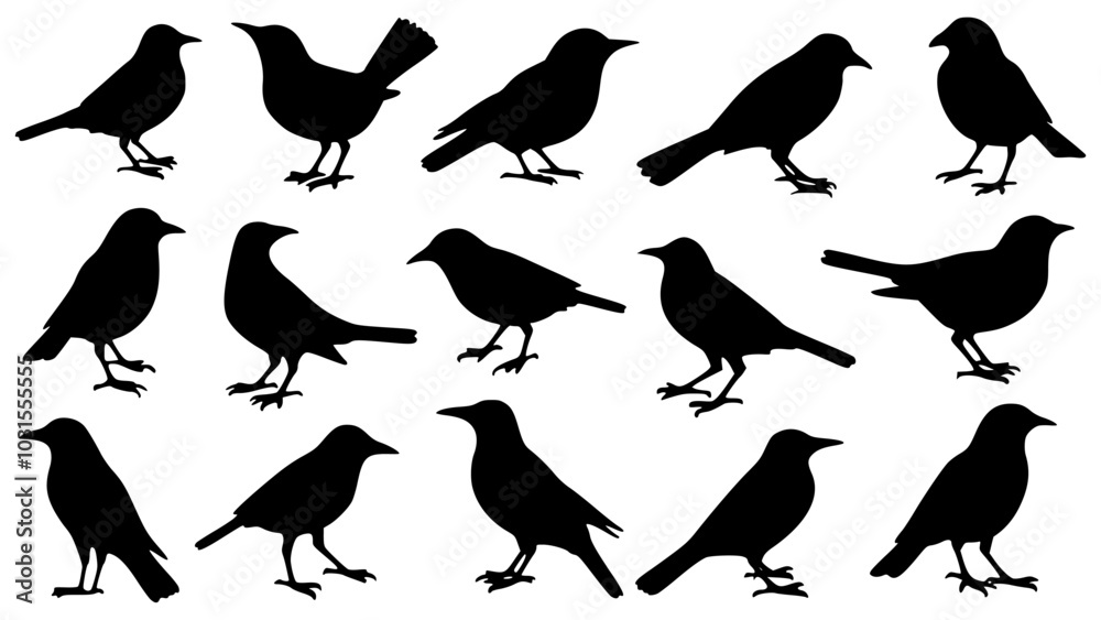 Set of black bird silhouettes. Vector elements for design. Set of black bird silhouettes. Vector elements for design.