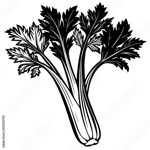 Celery silhouette 
