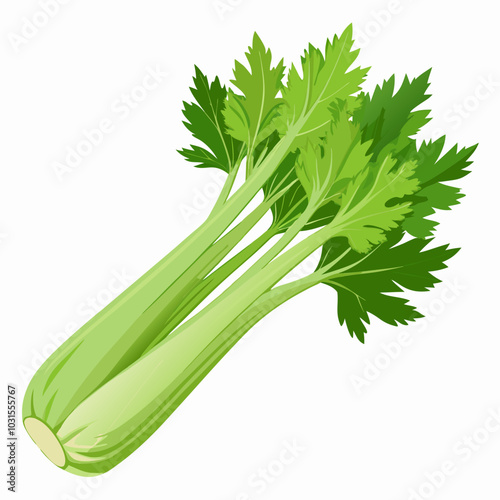 Celery 
