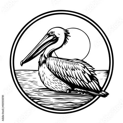 Diving Pelican