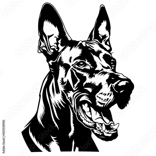 Doberman Dog Angry