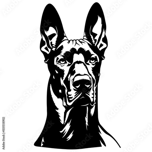 Doberman Dog Angry