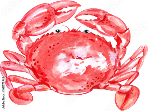 Red-orange crab placed on the table, bringing vibrant colors to the seafood spread, hand-drawn watercolor painting illustration photo