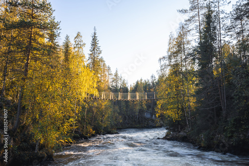 suspension bridge in autumn forest, Oulanka national park, Finland photo