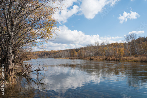 River in the mountains, nature landscapes