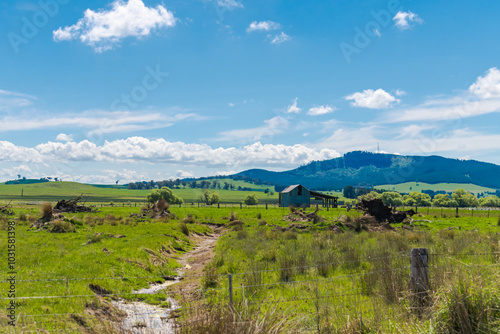 Rural fields and paddocks in the Blayney Shire photo