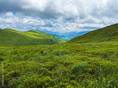 Beautiful landscape of summer mountains