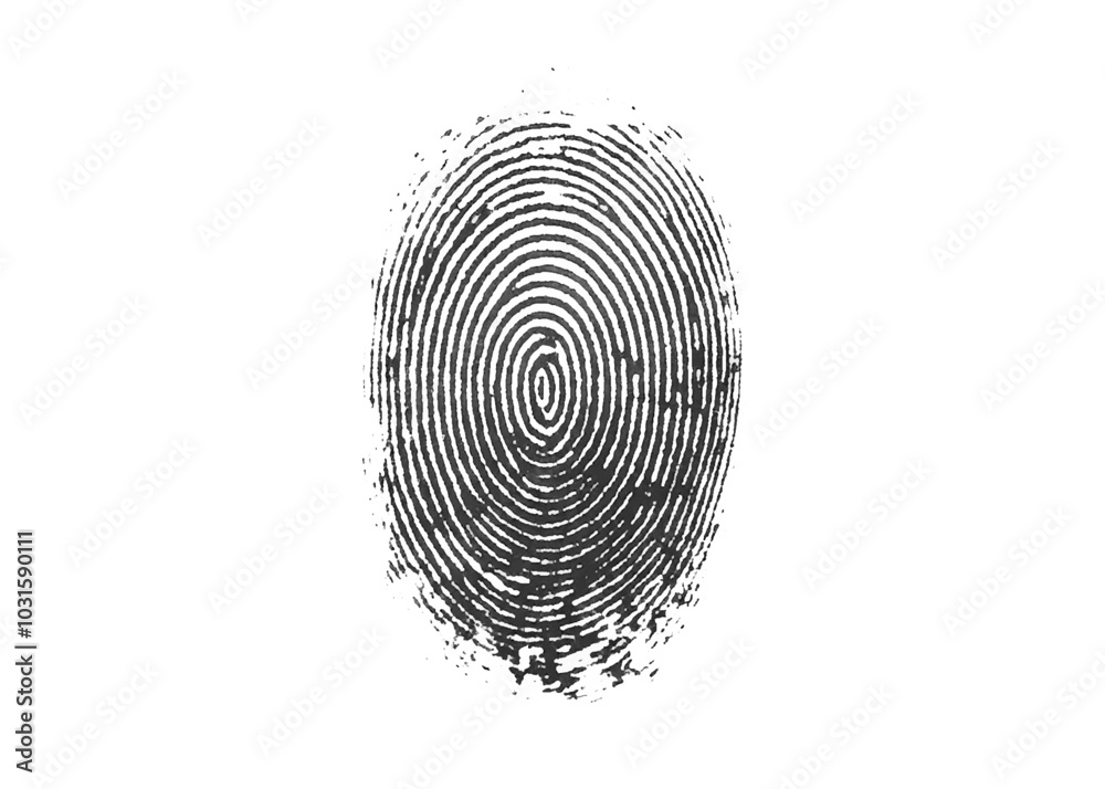 Vector fingerprint isolated on white Transparent background. Vector fingerprint isolated on white Transparent background.