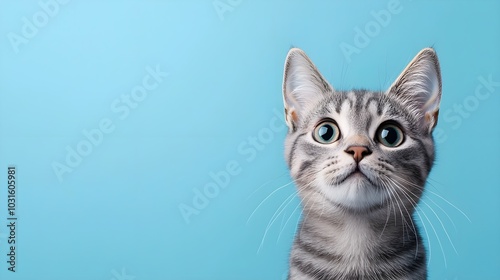 Gray tabby cat looking directly at the camera, light blue background, room for text at the top, detailed fur and whiskers
