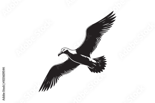 Albatross Silhouette Vector Illustration – Perfect for T-Shirts, Hoodies & Décor