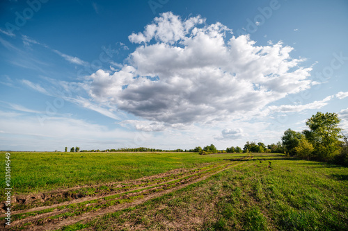 Fototapeta Naklejka Na Ścianę i Meble -  Dirt road in the field at dawn