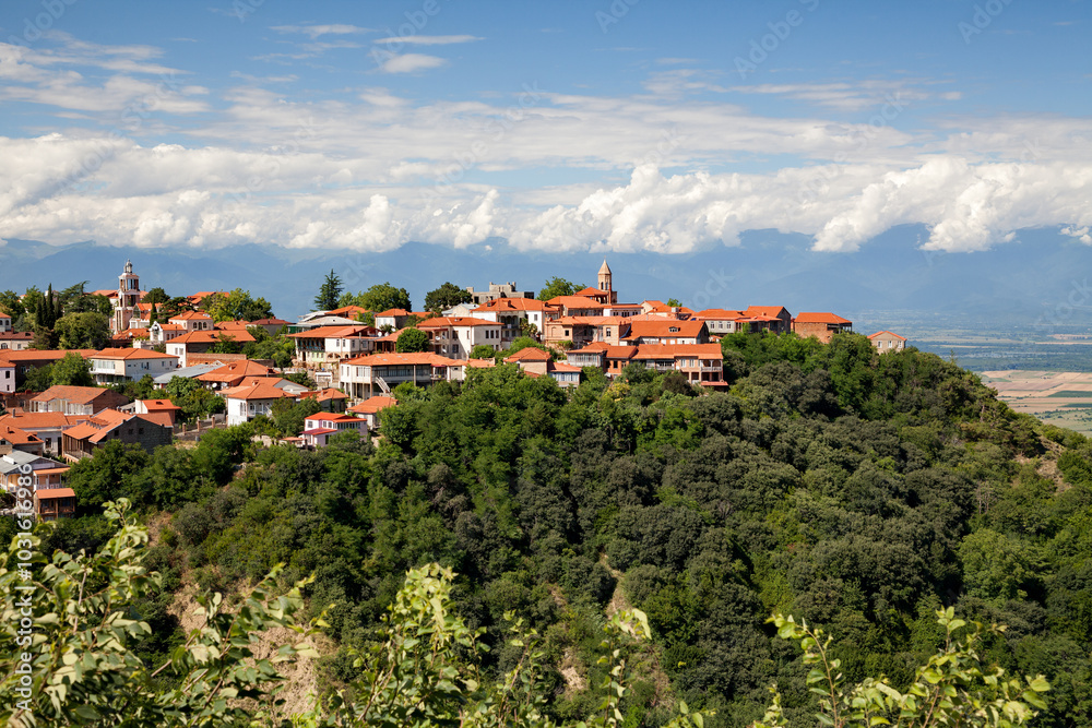 Sighnaghi Kakheti Georgia Alazani Valley Sighnaghi Kakheti Georgia Alazani Valley