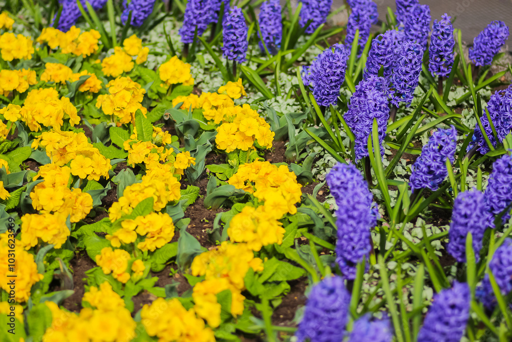 A close up of flowers in the great outside in the UK. A close up of flowers in the great outside in the UK.