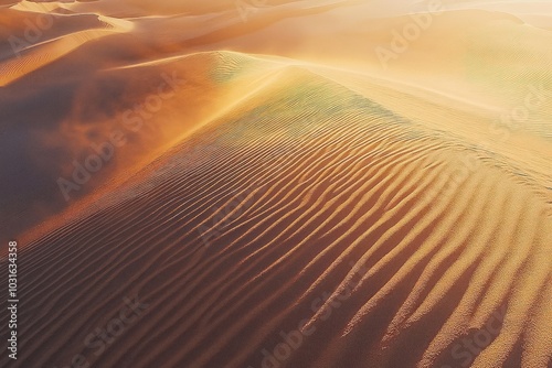 Wallpaper Mural Golden desert sand dunes with rippled patterns. Torontodigital.ca