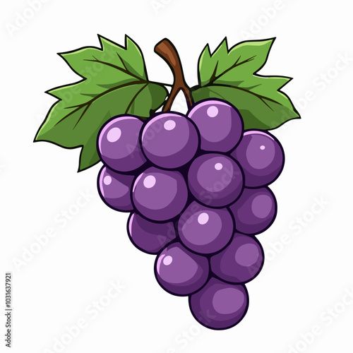 Vector grape illustration, cartoon fruit