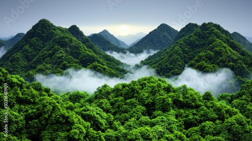 Misty Mountain Landscape with Sunrise Lush Green Forest Scenery