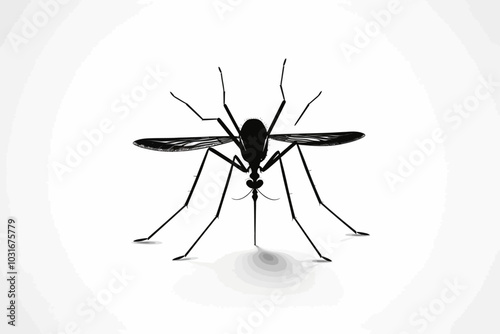 silhouette of mosquito 