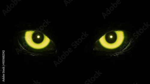 Evil eyes in the dark: the inscription HALLOWEEN