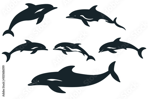 vector silhouette set of dolphin