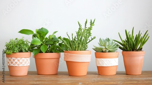 Fresh Potted Houseplants on a Wooden Table Background