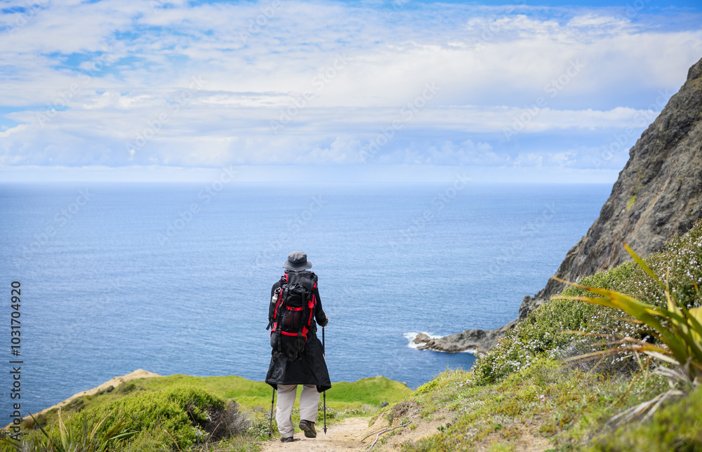 Hiking Cape Brett Walkway. Bay of Islands. New Zealand. Hiking Cape Brett Walkway. Bay of Islands. New Zealand.
