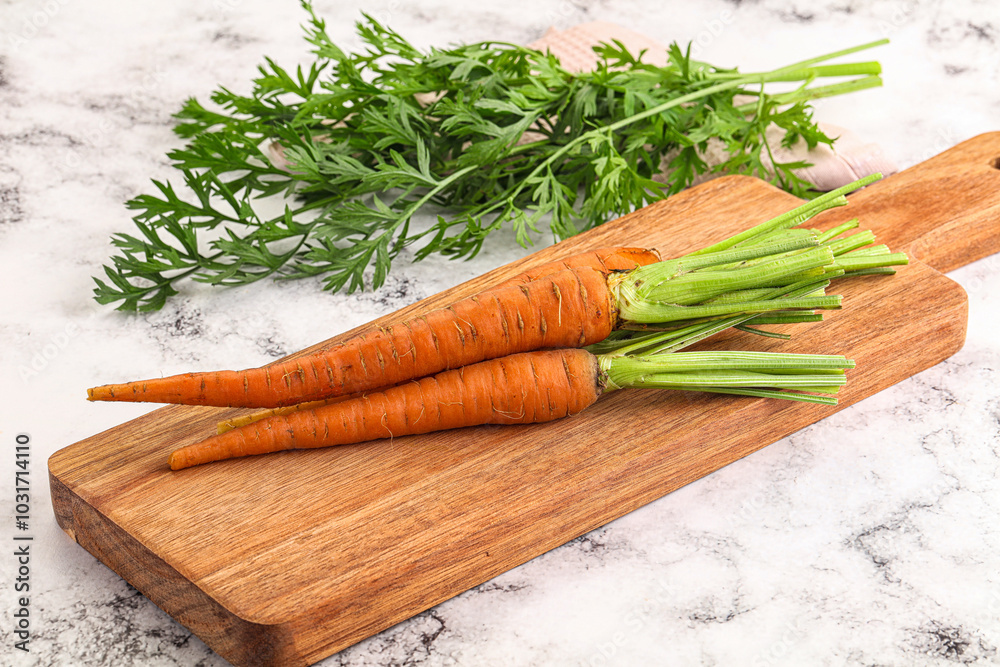 Toung fresh ripe orange carrot Toung fresh ripe orange carrot