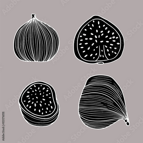 Set of isolated figs, linocut, line art.