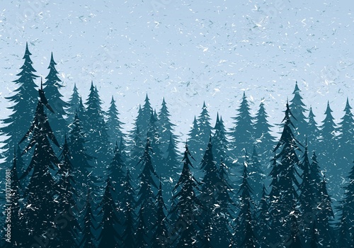 Winter landscape with coniferous forest.