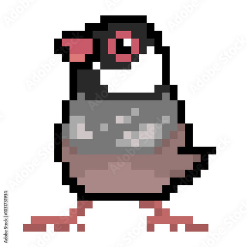 ドット絵, アニマルイラスト, 桜文鳥, ブンチョウ