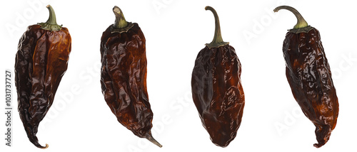 Chipotle Morita, a whole smoke-dried overripe Jalapeno chile pepper isolated png photo