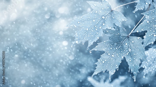 A serene close-up of blue-tinted leaves with droplets, evoking a tranquil atmosphere.