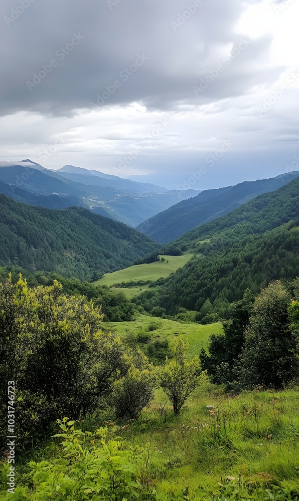 Fototapeta premium 109. A peaceful mountain view with rolling hills