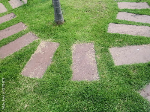 Brown stone walkways are arranged on the lawn to make walking easier. Walkway slabs on grass field decorated in tropical garden. Cement slabs laying on green grass surface. Step Stones Through grass
 photo