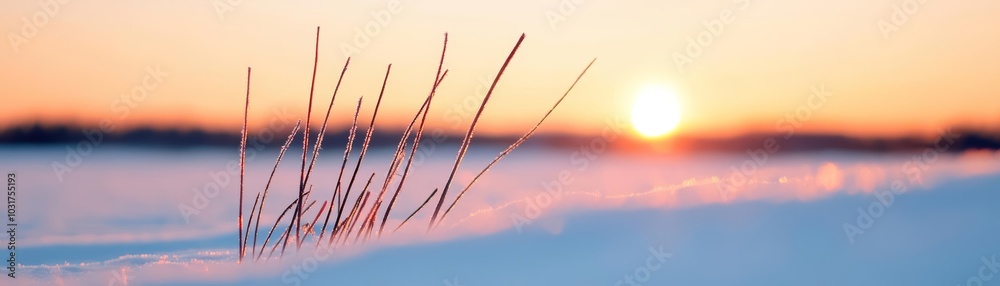 Obraz premium The first light of dawn illuminating a fresh snow-covered landscape, a crisp and refreshing winter morning