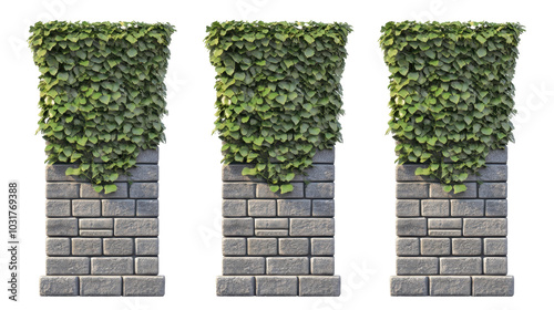 Three stone pillars covered with lush green ivy, creating a natural decorative element.