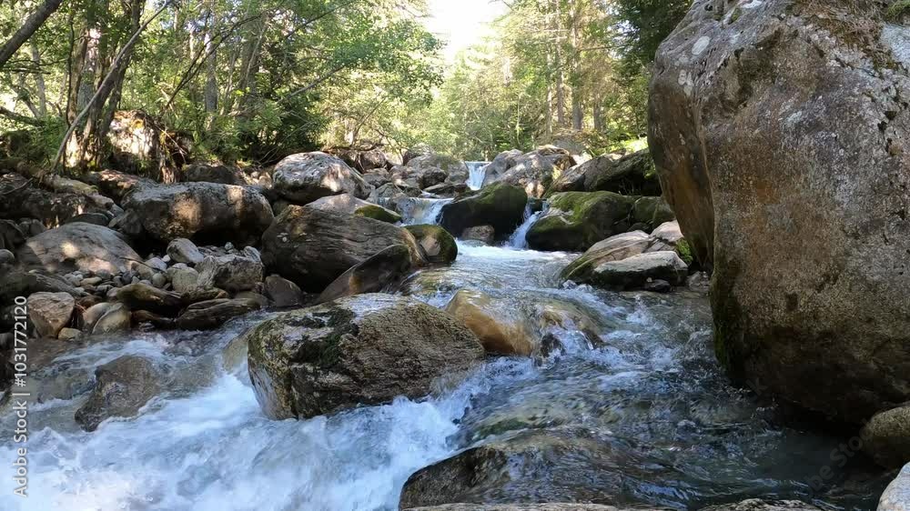 Wild stream in the mountains flows through a rocky riverbed down into the valley - static shot Wild stream in the mountains flows through a rocky riverbed down into the valley - static shot
