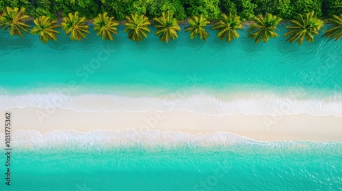 Aerial view of a tranquil beach with clear turquoise waters, white sand, and lush green palm trees lining the shore.