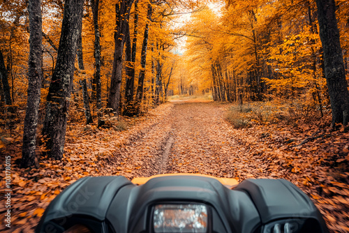 The steering wheel of a four-wheeled ATV in close-up in the forest photo