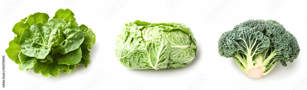 Fresh Green Leafy Vegetables. Fresh Green Leafy Vegetables.