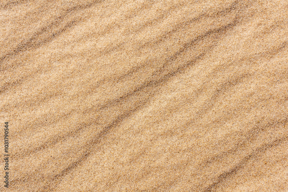 background - surface of the sand with wind ripples background - surface of the sand with wind ripples